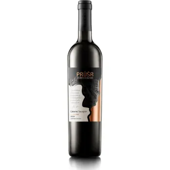 Víno Cabernet Sauvignon, pozdní sběr 2021, Vinařství Na Soutoku 0.75l