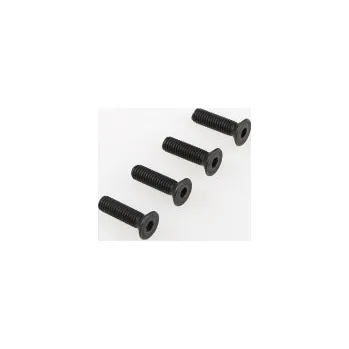 RC vybavení Šroub se záp. hlavou (4x25) 8ks 1/5