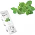 Semeno Click and Grow Oregano kapsle se semínky a substrátem 3 ks