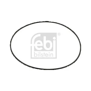 Kroužek těsnící náboje DAF