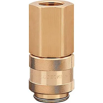 Kompresor Lüdecke Rychlospojka s vnitřním závitem G1"