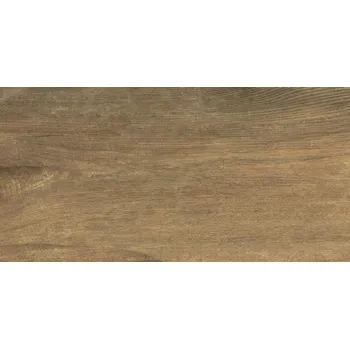 Dlažba Derby elm - dlažba 31x62 béžová mat 146432