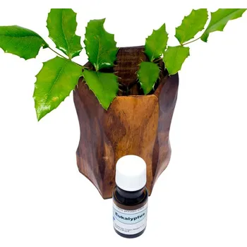 Eukalyptus 100% silice – 30 ml