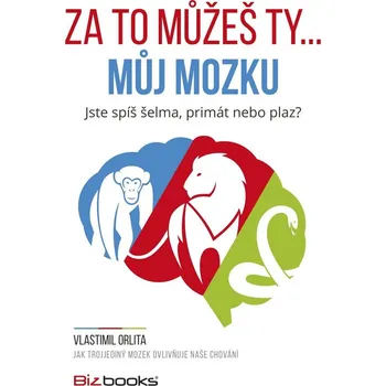 Kniha Za to můžeš ty... můj mozku - Vlastimil Orlita (E-Kniha)