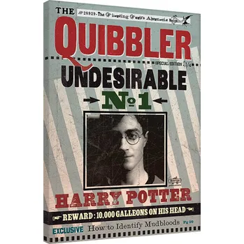 Obraz Obraz na plátně Harry Potter - Quibbler