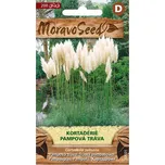 Moravoseed Cortaderie Pampová tráva…