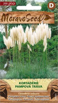 semena Moravoseed Cortaderie Pampová tráva bílá 200 ks