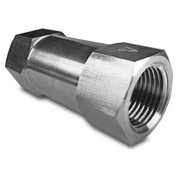 Lepící sada Zpětný ventil z nerezové oceli 1/2 palce (Zpětný ventil z nerezové oceli 1/2 palce)