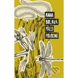 Před povodní - Anna Bolavá (2020, pevná)