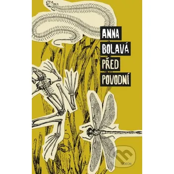 Před povodní - Anna Bolavá (2020, pevná)