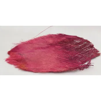 palm bakla color fialová