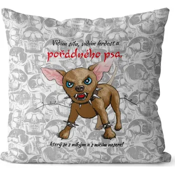 Dekorativní polštářek Polštář Pořádný pes (Velikost: 40 x 40 cm)