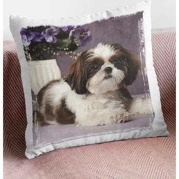 Polštář Polštář Pes6 - 40 x 38 cm