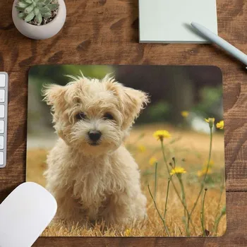 Podložka pod myš Podložka pod myš štěně