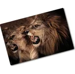 Kuchyňská deska skleněná Lvi