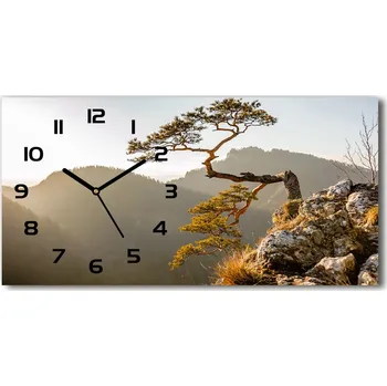 Hodiny Skleněné hodiny na stěnu Sokolice Pěniny