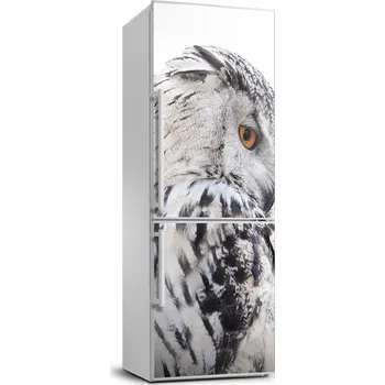 Fototapeta Foto nálepka na ledničku stěnu Bílá sova