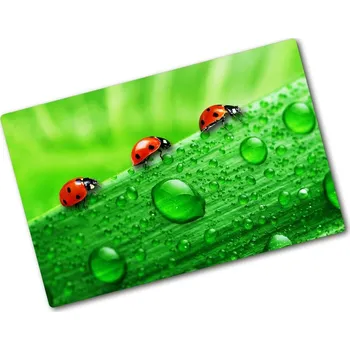 Kuchyňské prkénko Kuchyňská deska skleněná Berušky na trávě