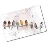 Kuchyňská deska skleněná Ptáci na větvi