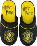 Cinereplicas Harry Potter Mrzimor M/L