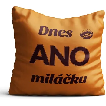 Povlak na dekorativní polštářek Froster Sex povlak na polštář ANO/NE 37 x 37 cm