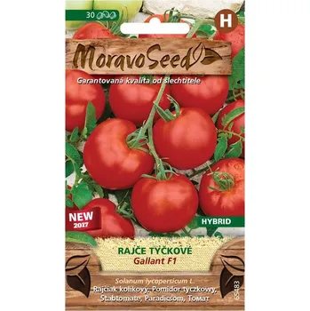 rajce leto.cz.607 MoravoSeed Rajče tyčkové stupické polní rané 150 ks od 15 Kč - Zbozi.cz