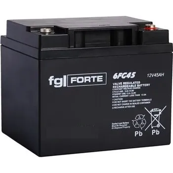 Trakční baterie FG-Forte 6FG45 - 12V / 45Ah C20 (Staniční bezúdržbový akumulátor )