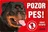 JUKO petfood Pozor pes! Zákaz vstupu!, rotvajler