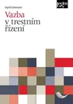 Vazba v trestním řízení - Ingrid…