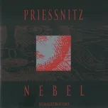 Nebel - Priessnitz