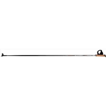 Blizzard Racing carbon 150 cm černé