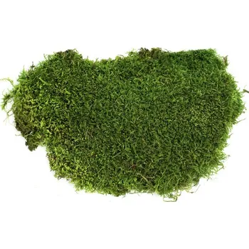 umělá květina Stabilizovaný mech plochý 0,5 kg - zelený (flat mech)