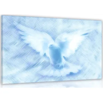 Malvis ® Obraz nebeská holubice Velikost (šířka x výška): 90x60 cm