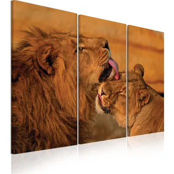 Obraz Malvis ® Vícedílný obraz - Lev a lvice Velikost: 90x60 cm