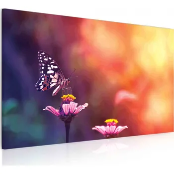 Malvis ® Obraz Motýl na květině Velikost: 100x60 cm