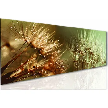 Obraz Malvis ® Obraz jednodílný Chmýří pampelišky Velikost: 50x20 cm