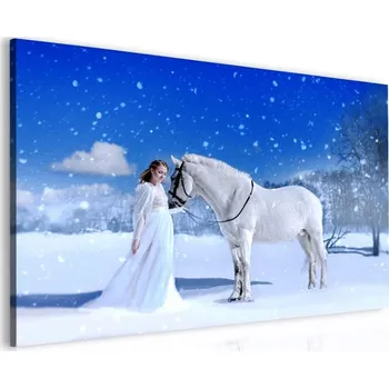 Malvis ® Obraz kůň a dívka Velikost (šířka x výška): 60x40 cm