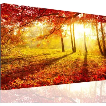 Obraz Malvis ® Obraz Lesní záře Velikost: 60x40 cm