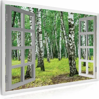 Obraz Malvis ® 3D obraz březový háj Velikost (šířka x výška): 50x40 cm