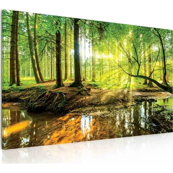 Obraz Malvis ® Obraz pohoda v lese Velikost: 90x60 cm