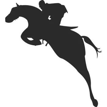 Samolepicí dekorace na vozidlo SI0110040D - parkur - 120 x 105 mm doleva