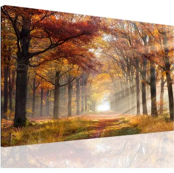 Obraz Malvis ® Obraz prosluněná cesta Velikost: 60x40 cm