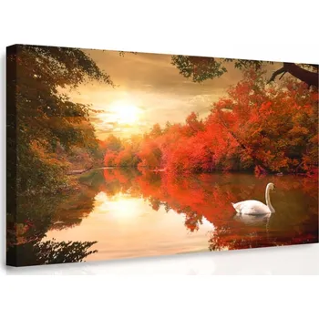 Obraz Malvis ® Obraz - Plující labuť Velikost: 60x40 cm