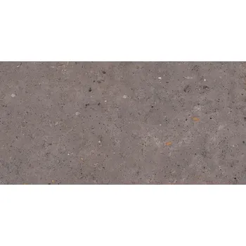 Dlažba Dlažba Pastorelli Biophilic dark grey 60x120 cm mat P009416