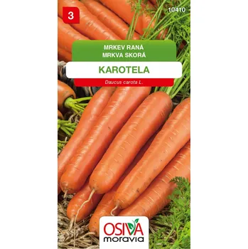 Semeno Mrkev - Karotela