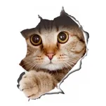 MASTER 3D Samolepící dekorace Kočka 21…