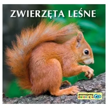 První čtění Zwierzęta leśne. Poznajemy zwierzęta - Praca zbiorowa