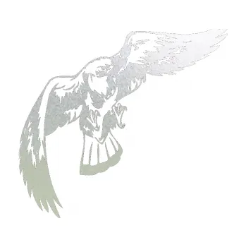 Samolepicí dekorace na vozidlo Predators 041 pravá (60 - pískované sklo) SAMOLEPKA NA AUTO, NÁLEPKA, FÓLIE, POLEP, TUNING, VLASTNÍ TEXT, TISK, AUTOSAMOLEPKY.cz, POLEPY, OBRÁZEK, LOGO, 3D STICKERS