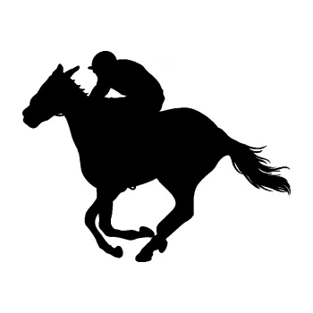 Samolepící dekorace SAMOLEPKA Kůň 035 levá (01 - černá) NA AUTO, NÁLEPKA, FÓLIE, POLEP, TUNING, VLASTNÍ TEXT, TISK, AUTOSAMOLEPKY.cz, POLEPY, OBRÁZEK, LOGO, SAMOLEPKY