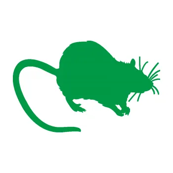 Samolepící dekorace Krysa 002 pravá (12 - zelená) SAMOLEPKA NA AUTO, NÁLEPKA, FÓLIE, POLEP, TUNING, VLASTNÍ TEXT, TISK, AUTOSAMOLEPKY.cz, POLEPY, OBRÁZEK, LOGO, 3D STICKERS